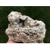 Chalcedon